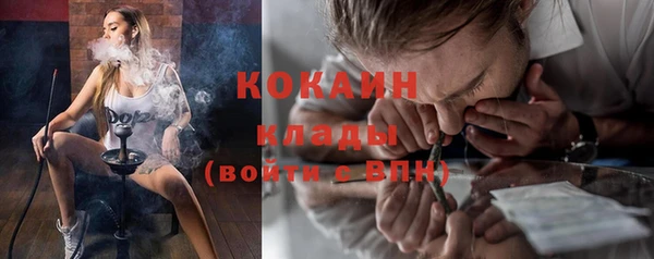соль ск Алзамай