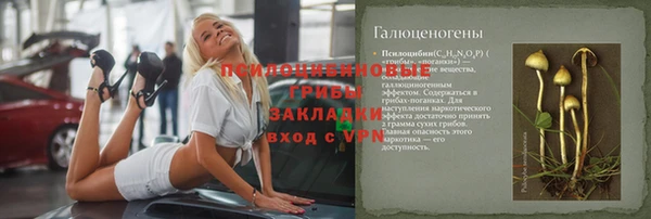 прущие грибы Алексеевка