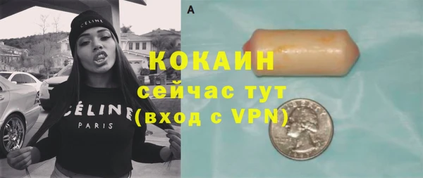 соль ск Алзамай