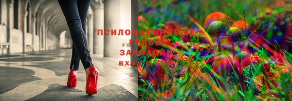 прущие грибы Алексеевка
