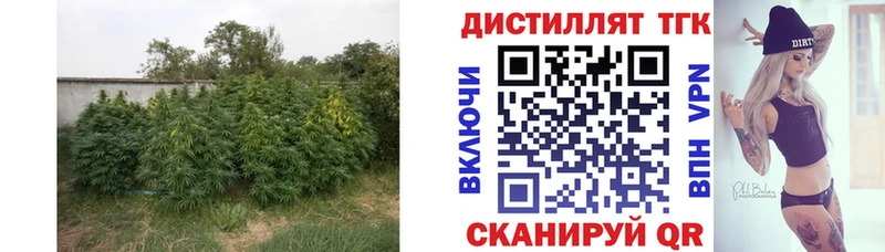 ТГК вейп с тгк Сибай
