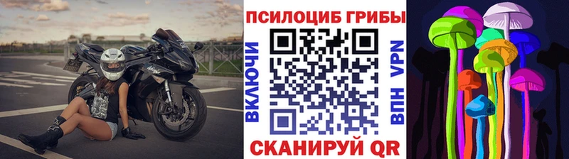 Галлюциногенные грибы Psilocybe  Сибай 